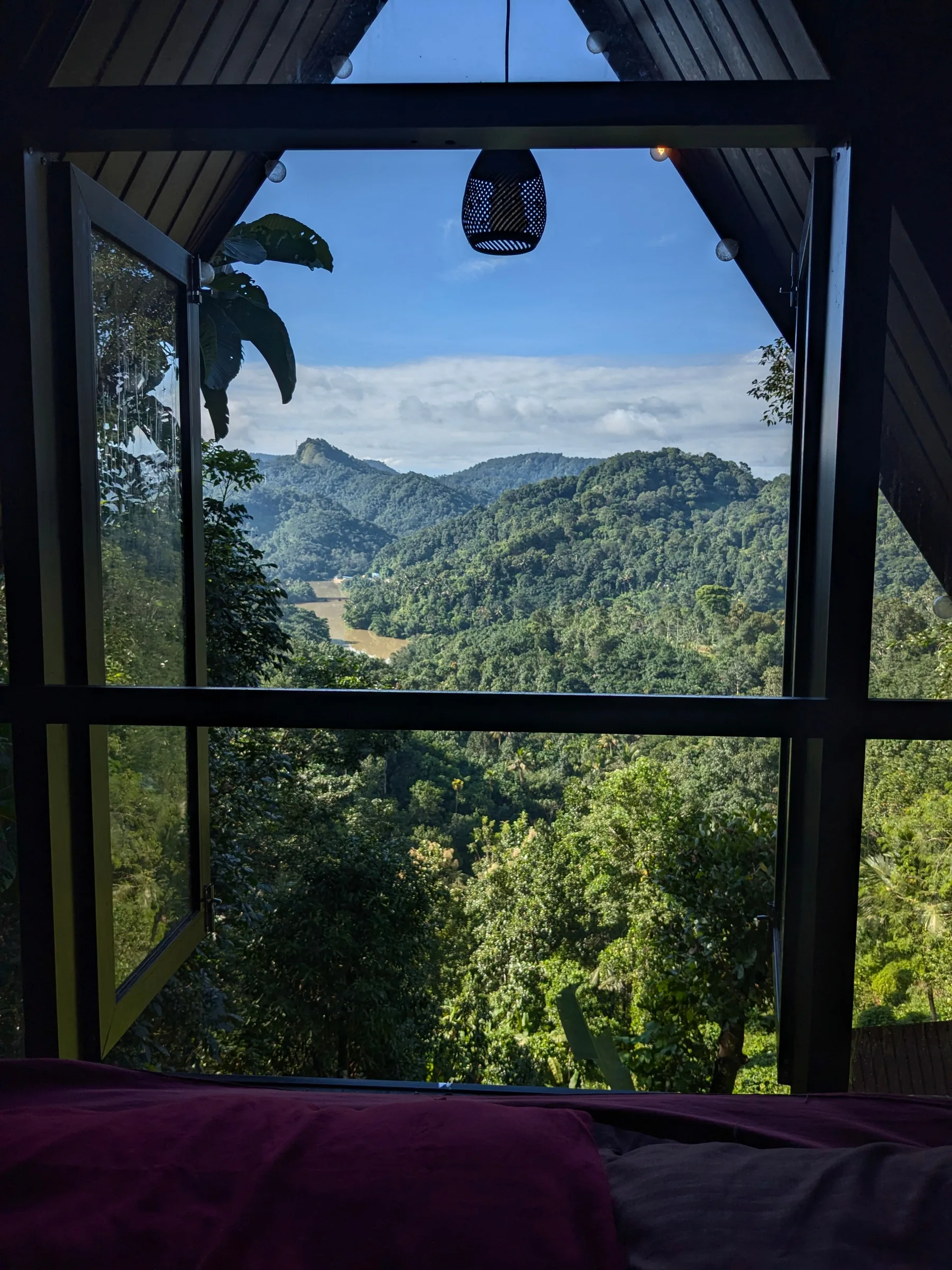 Open window looking into a lush green forest